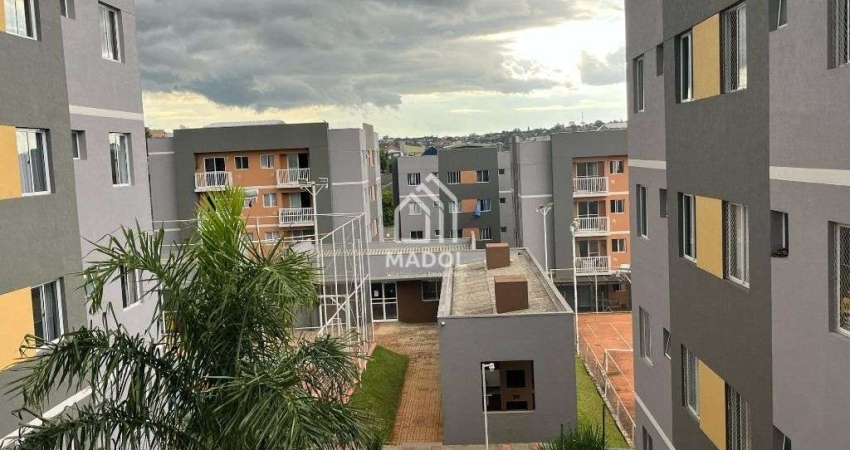 Apartamento à Venda em Uvaranas, Ponta Grossa - PR