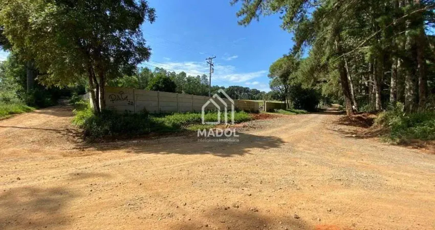 Chácara à Venda em Colônia Dona Luiza, Ponta Grossa - PR