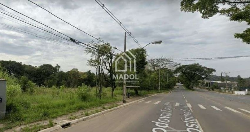 Terreno à Venda em Colônia Dona Luiza, Ponta Grossa - PR