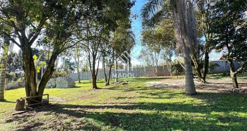 Terreno à Venda em Colônia Dona Luiza, Ponta Grossa - PR