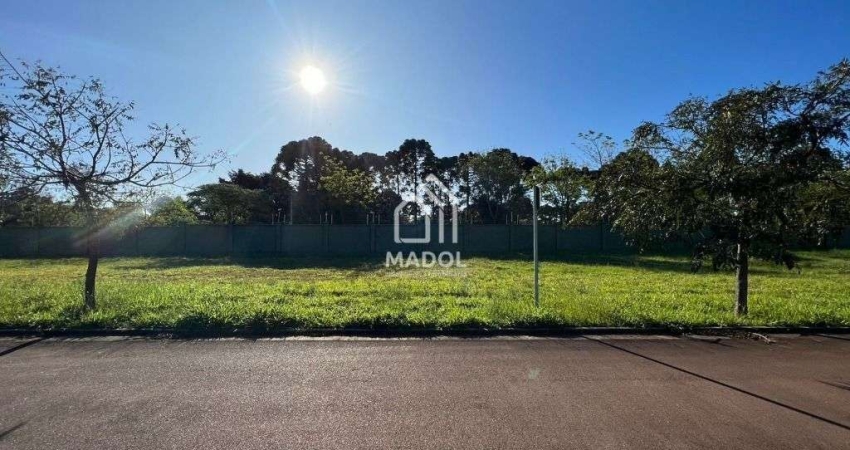 Terreno à venda, 300 m² por R$ 250.000,00 - Jardim Carvalho - Ponta Grossa/PR