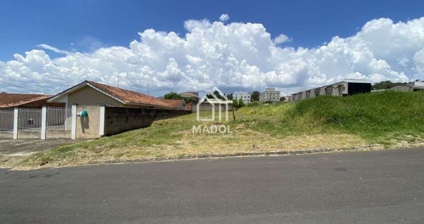 Terreno à venda, 432 m² por R$ 380.000,00 - Jardim Carvalho - Ponta Grossa/PR