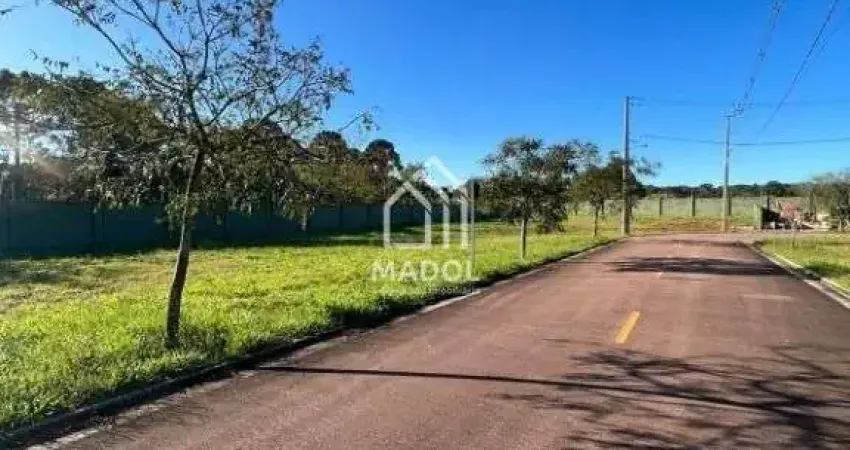 Terreno à venda, 330 m² por R$ 250.000 - Jardim Carvalho - Ponta Grossa/PR