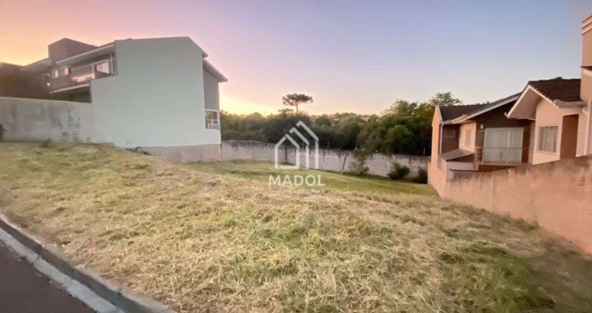 Terreno à venda, 302 m² por R$ 310.000,00 - Oficinas - Ponta Grossa/PR