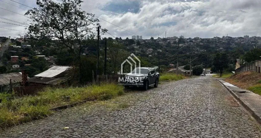 Terreno à venda, 462 m² por R$ 110.000 - Uvaranas - Ponta Grossa/PR