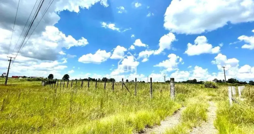 Terreno à venda, 3650 m² por R$ 2.300.000,00 - Colônia - Carambei/PR