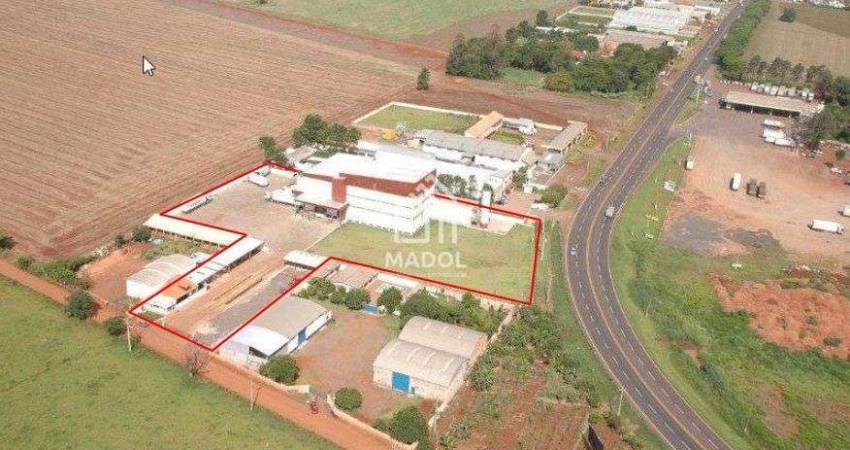 Terreno comercial à venda na Rodovia PR-444, 3, Jardim Petrópolis, Arapongas