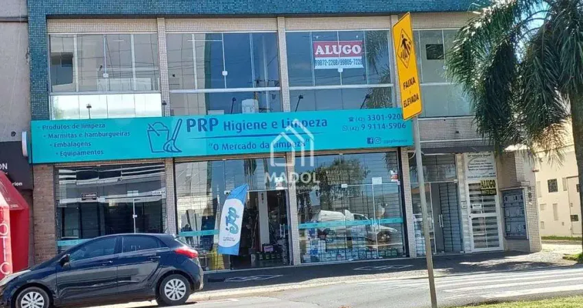 Sala Comercial de Alto Padrão no Bairro Nova Rússia! 