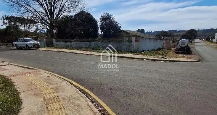 Terreno à venda na Rua Campo Largo Ponta Grossa, 05, Oficinas, Ponta Grossa