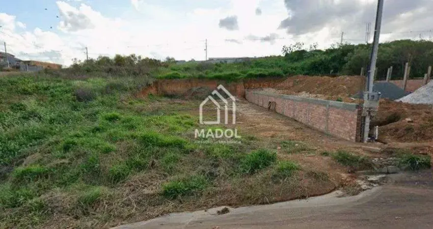 Terreno à venda na Rua Tânia Mara Busato David, 1, Cará-cará, Ponta Grossa