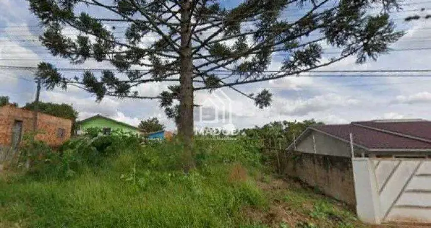 Terreno à venda na Rua Carneiro Ribeiro, 390, Uvaranas, Ponta Grossa