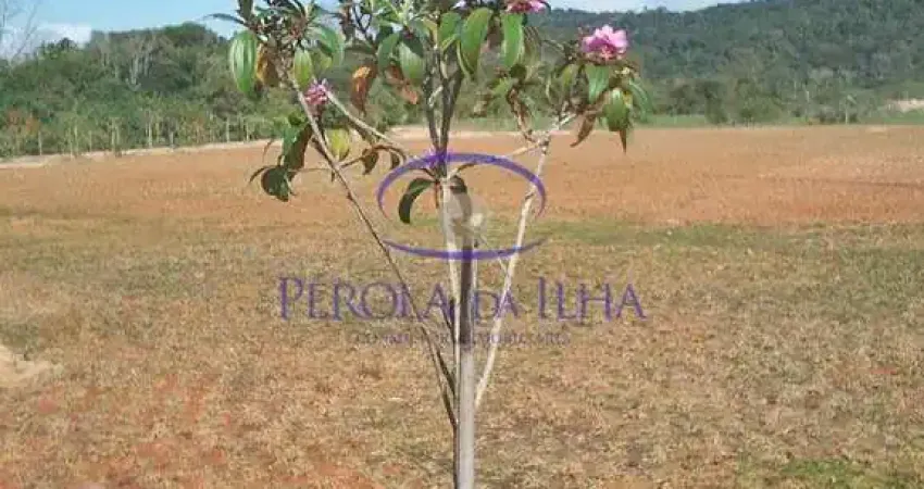 Terreno em condomínio à venda em canasvieiras, florianópolis-sc 420,00m² de área