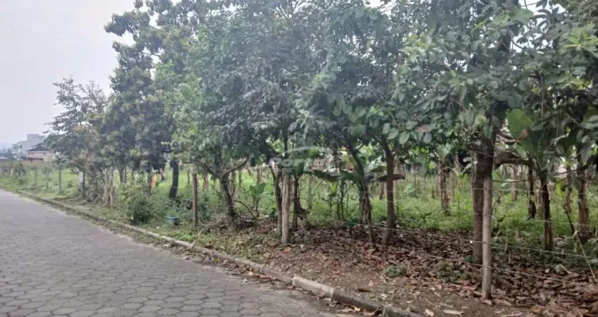 Terreno à venda no Margem Esquerda, Gaspar 