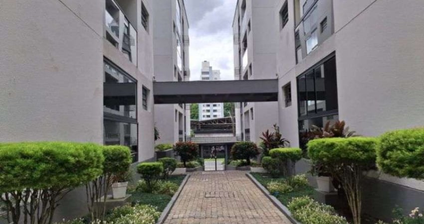 Apartamento com 3 quartos para alugar na Vila Nova, Blumenau 