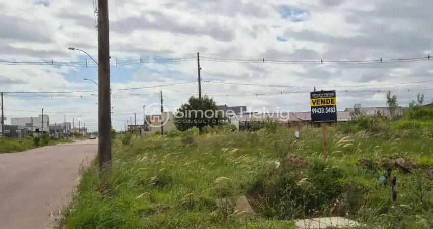 Terreno à venda na Bélgica, 01, Centro Novo, Eldorado do Sul