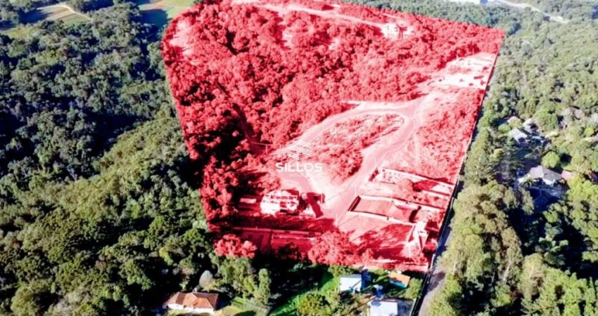 Terreno em condomínio fechado à venda na Paulo Szteinke, 483, Tingui, Curitiba