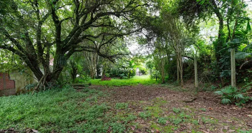 Terreno à venda na Rua Luiz Antônio Biazzetto, 222, São Lourenço, Curitiba