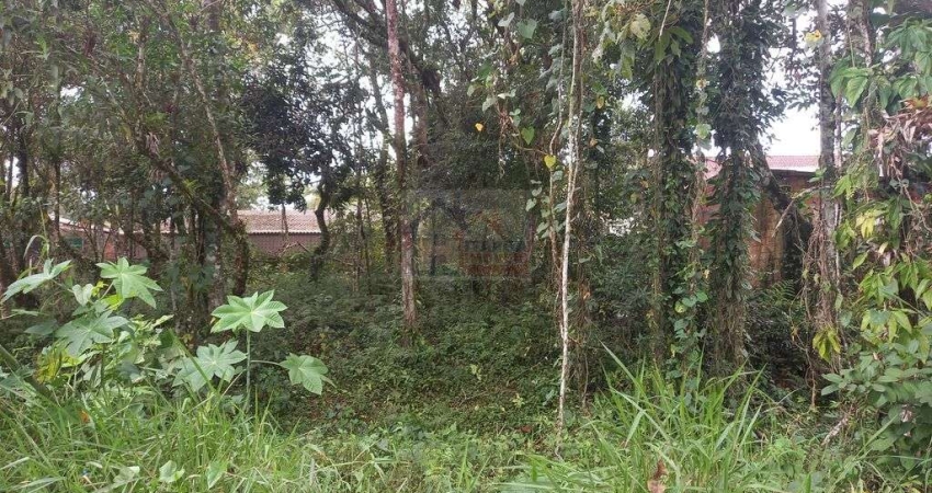 Terreno à venda na Rua Cambiru & R. Cataratas, 959, Cambijú, Itapoá