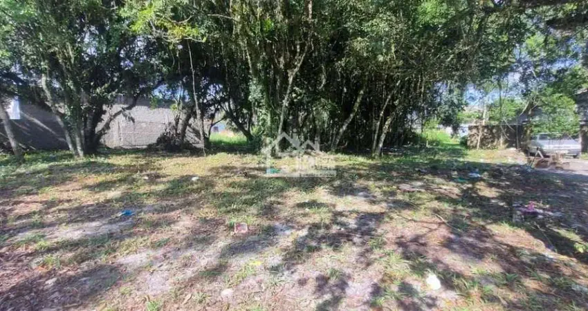 Terreno de 537,00 m² em itapoá/sc - próximo ao colégio monteiro lobato