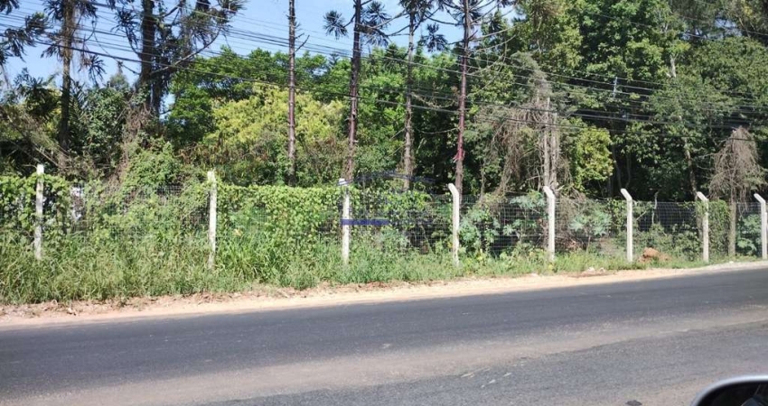 Terreno à venda em Porto Alegre-RS, bairro Pitinga, com 22.884,00 m² de área: uma oportunidade imperdível!