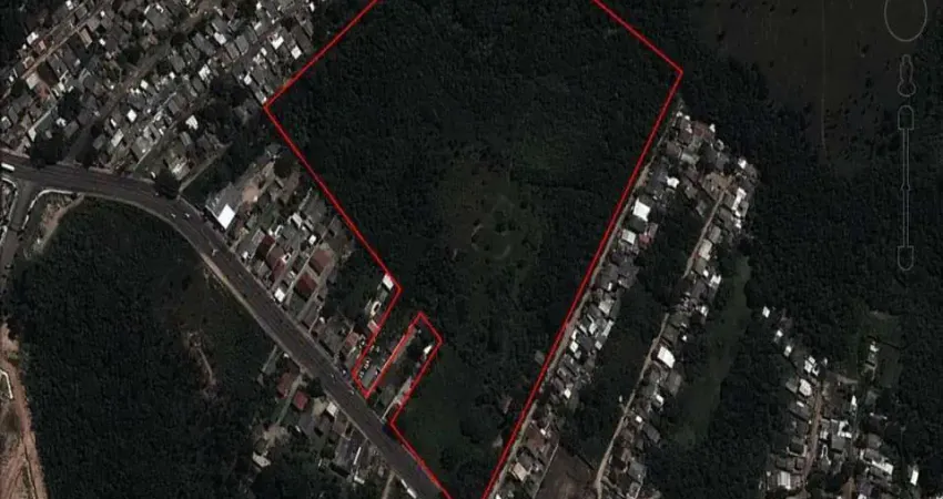 Oportunidade única: área comercial de 7,00 hectares à venda em lomba do pinheiro, porto alegre-rs.