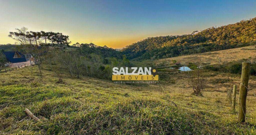 Terreno à venda, 4172 m² por R$ 600.000,00 - Cachoeira - Santo Antônio do Pinhal/SP