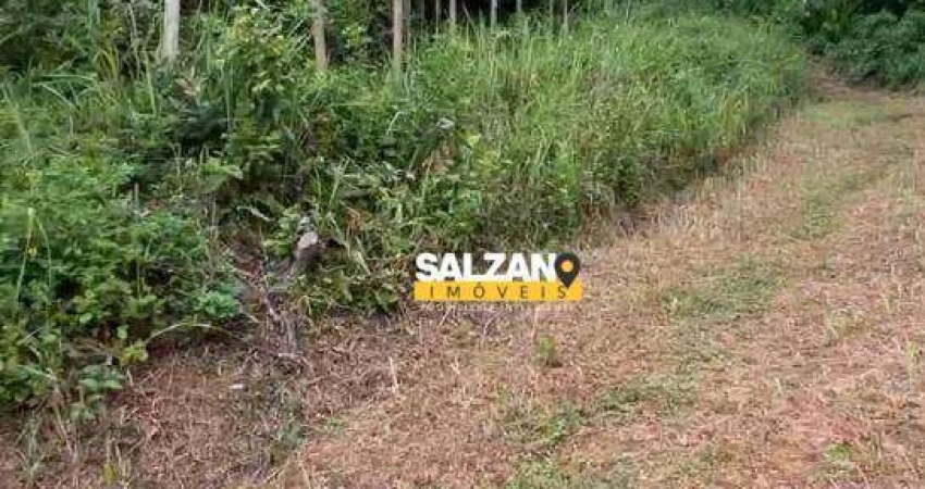 Terreno à venda, 1234 m² por R$ 235.000,00 - Lagoinha - Ubatuba/SP