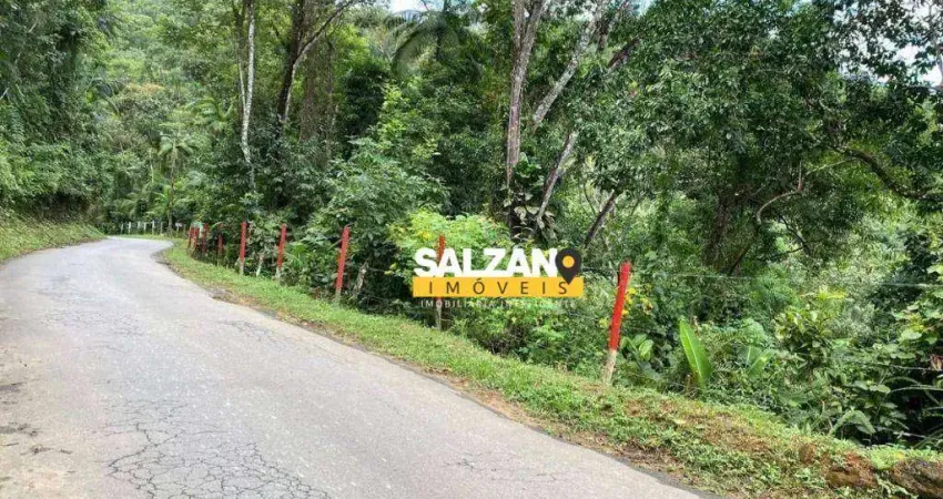 Terreno à venda, 3000 m² por R$ 250.000,00 - Praia da Almada - Ubatuba/SP