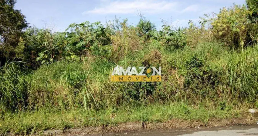 Terreno à venda, 1432 m² por R$ 1.200.000,00 - Esplanada Independência - Taubaté/SP