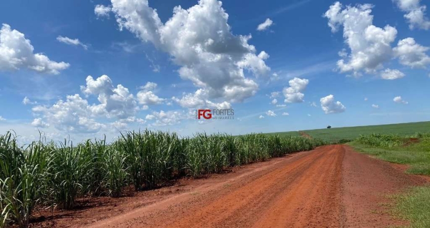 Terreno à venda na Zona Rural, Guariba 