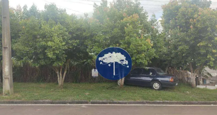 Terreno à venda na Rua Miguel Grabowski, Passauna, Araucária