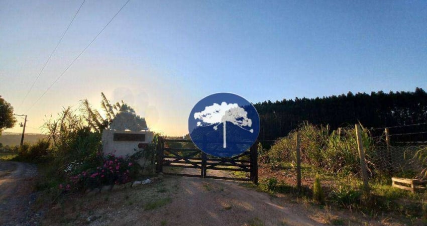 Chácara / sítio com 2 quartos à venda no Feixo do Boteatuva, Lapa 