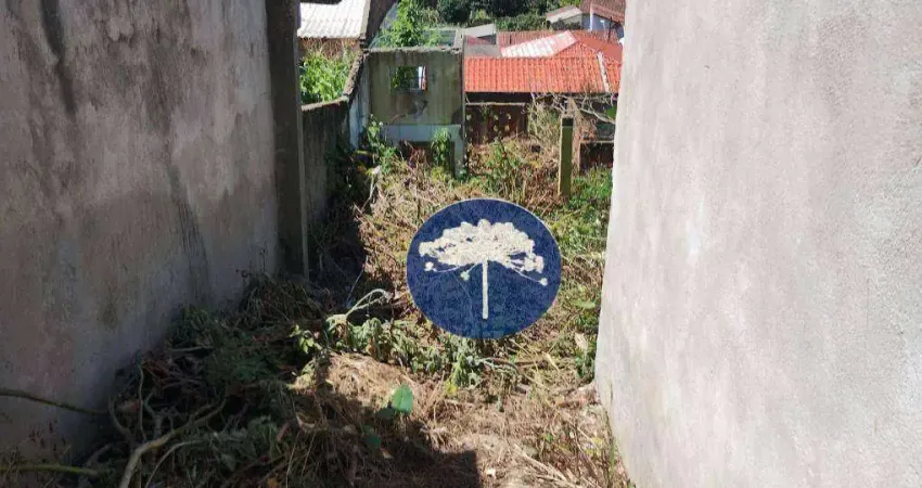 Terreno à venda, 408 m² por R$ 280.000,00 - Passauna - Araucária/PR