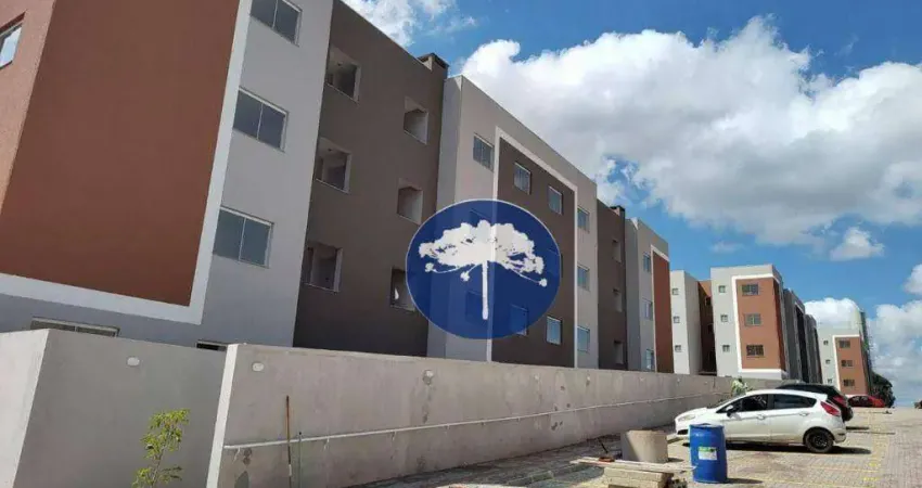 Apartamento com 2 quartos à venda na Rua Maranhão, Costeira, Araucária