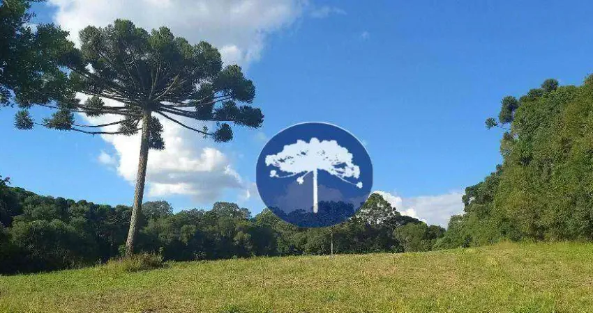 Chácara / sítio à venda na Zona Rural, Contenda 