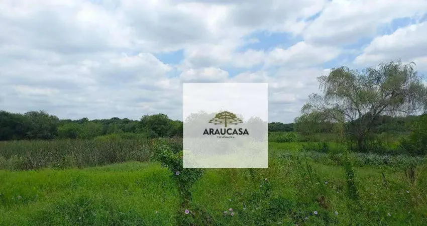 Chácara / sítio à venda na Rua Xambrê, Iguaçu, Araucária