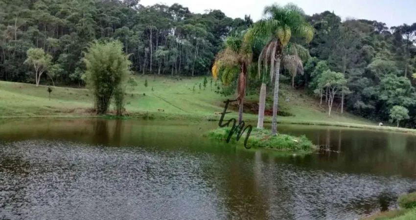 Chácara / sítio com 14 quartos à venda no Carmo Messias, Ibiúna 