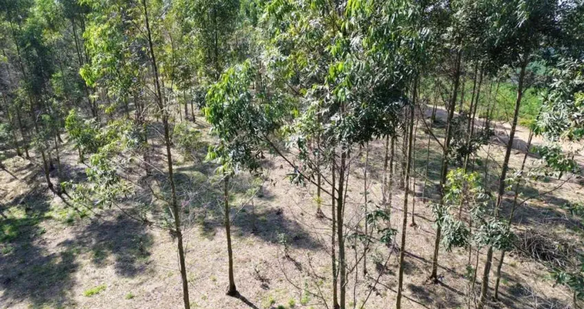 Terreno à venda no Ortizes, Piedade 