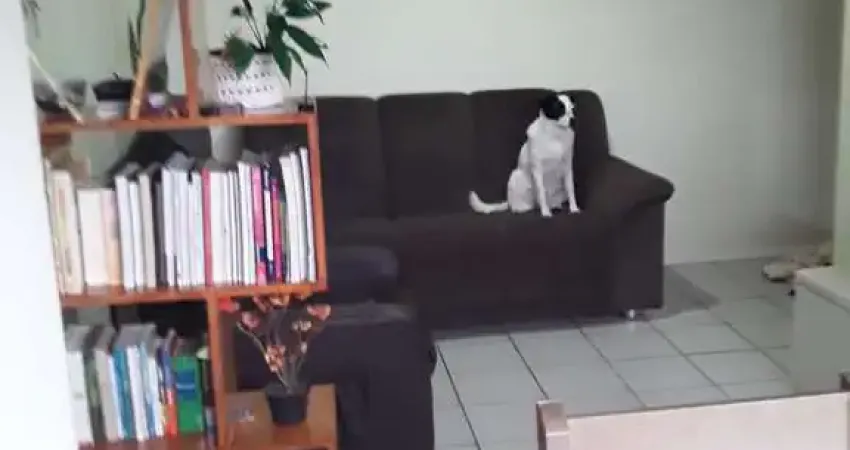 Apartamento com 2 quartos à venda no Centro, Ibiúna