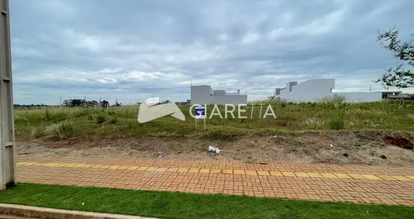 Terreno com excelente localização à venda, vila industrial, toledo - pr