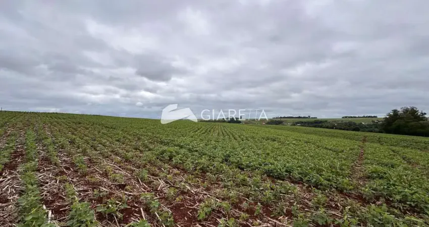 Chácara / sítio à venda na Área Rural de Toledo, Toledo 