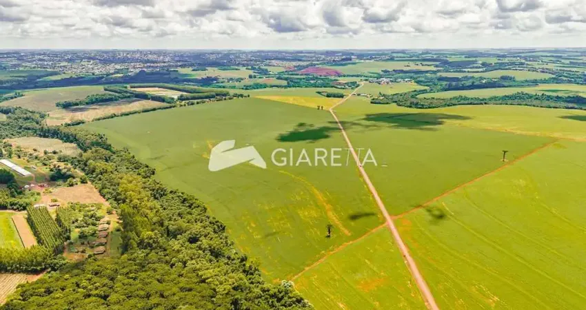 Área rural com 49.5 alqueires localizada na linha mandarina, toledo-pr