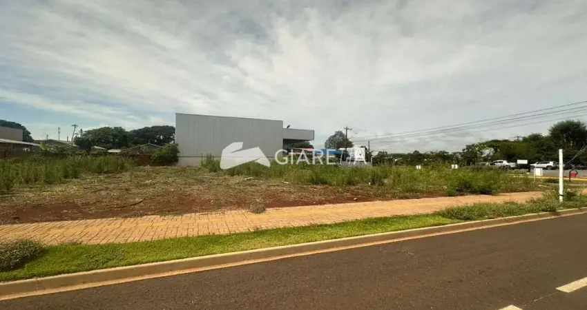 Terreno à venda em região privilegiada da cidade, jardim gisela, toledo - pr