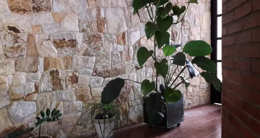 Casa à venda, 3 quartos, 3 suítes, 5 vagas, Vila Euclides - São Bernardo do Campo/SP