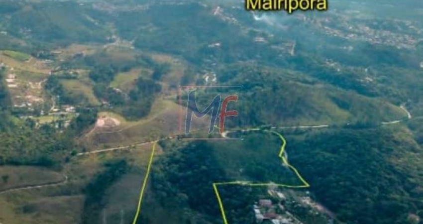 Ótimo terreno com 124.077 m², cercado, frente para o asfalto, localização privilegiada no bairro Suíça da Cantareira. Não aceita permutas.  REF: 11.027