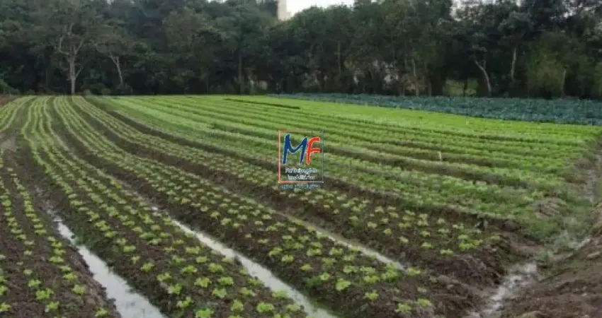 EXCELENTE TERRENO  COM 26.000 M2 , EM RUA ASFALTADA , ZONEAMENTO Z1 . ACEITA PROPOSTA( permutas até 50 % ) . VALE A PENA CONHECER ! REF 731