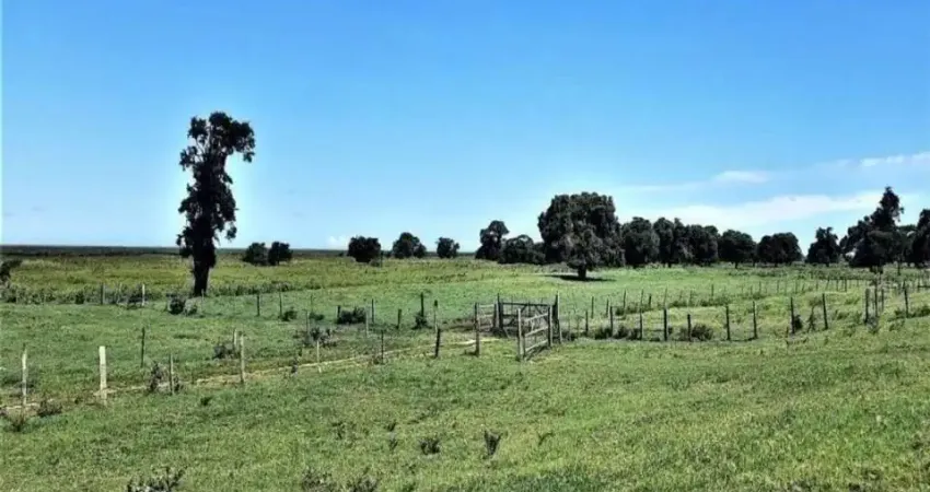 Fazenda 74 alqueires / gado, dores de macabu, campos dos goytacazes