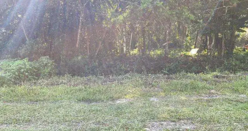 Terreno à venda no Palmeiras II, Itanhaém 