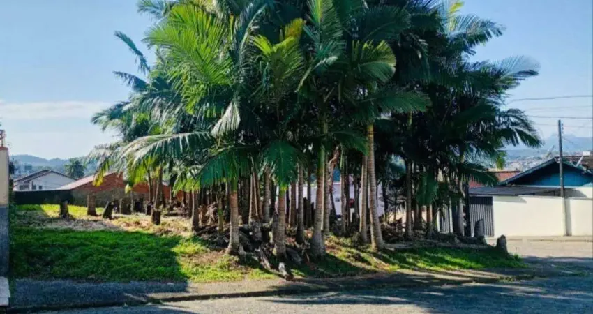 Terreno à venda na Rua Bom Jardim, Fortaleza, Blumenau