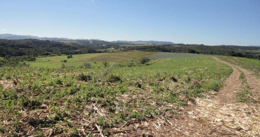 Área para arrendamento / alugar, 283000 m² por R$ 4.000/mês - Jarinu - Jarinu/SP